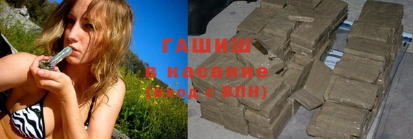 гашик Алексин