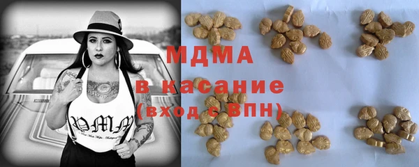гашик Алексин