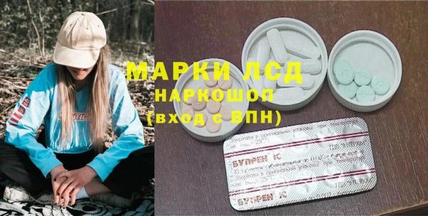 гашик Алексин