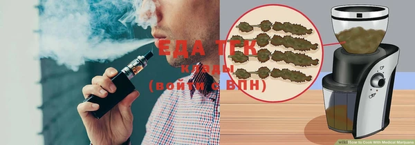 индика Алзамай