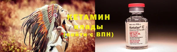индика Алзамай
