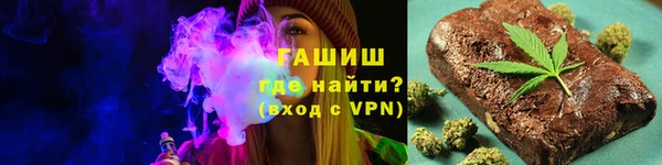 индика Алзамай