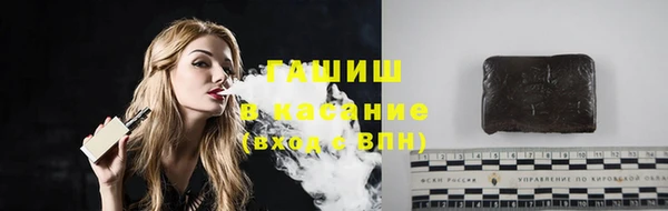 гашик Алексин