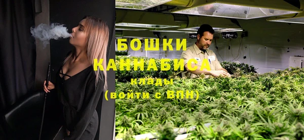индика Алзамай