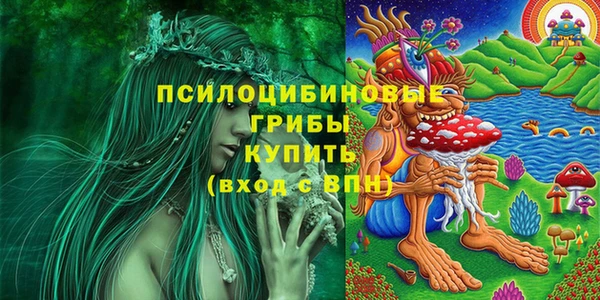 индика Алзамай
