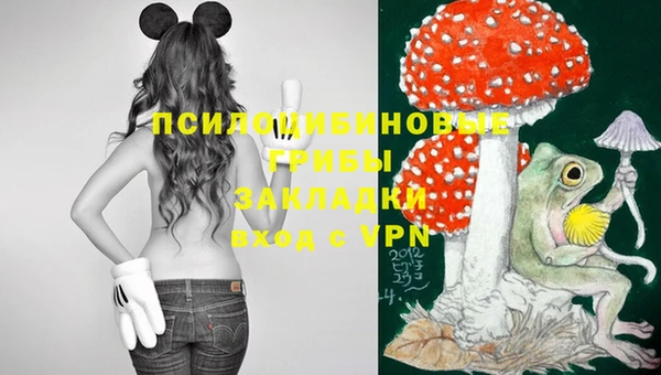 индика Алзамай