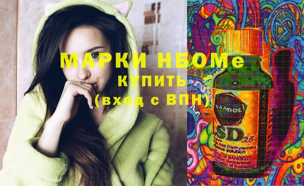 индика Алзамай