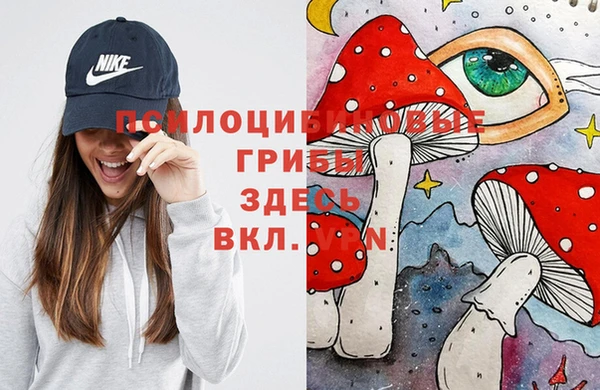 кокаин Алексеевка