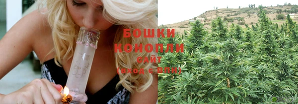 сатива Абдулино