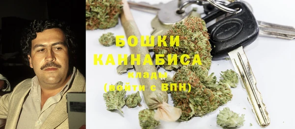 индика Алзамай