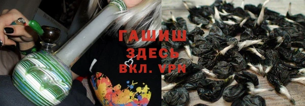 гашик Алексин