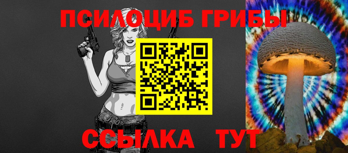 Галлюциногенные грибы прущие грибы  Псилоцибиновые грибы GOLDEN TEACHER  Тамбов  купить   Вход с VPN 