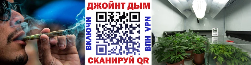 наркошоп  Тамбов  Каннабис ГИДРОПОН 